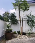 Lanshangju Homestay