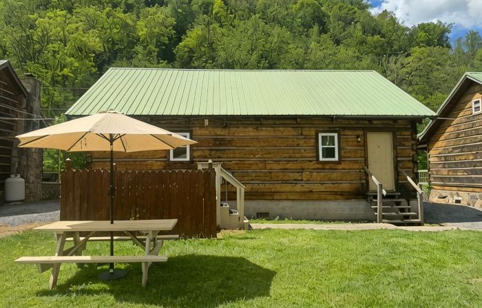 Charming 3-Bedroom 5 Bed Hottub Cabin WiFi in Scenic Seneca Rocks West Virginia
