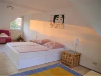 Sunny cottage with large garden