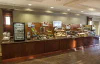 Holiday Inn Express & Suites BUFFALO-AIRPORT by IHG - Morgenmad