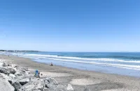Beach is Just a Few Feet Away - Apartments