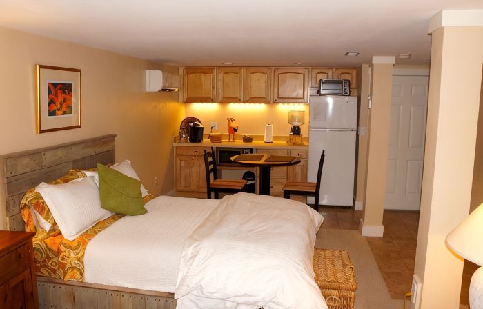 Downtown Luxury Studio, Brevard NC