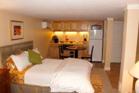 Downtown Luxury Studio, Brevard NC