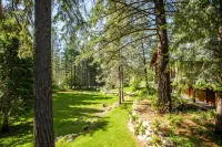 Snowgrass Lodge - Luxury timber lodge, riverfront, mountain views, hot tub - Bjergudsigt