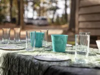 NEW - Modern Cabin Oasis - 2 Acre Retreat! Hotels in Apex