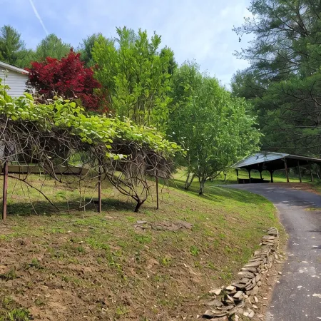 Peaceful creek side getaway nestled in the Blue Ridge Mountains