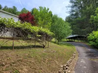 Peaceful creek side getaway nestled in the Blue Ridge Mountains - 3 étoiles