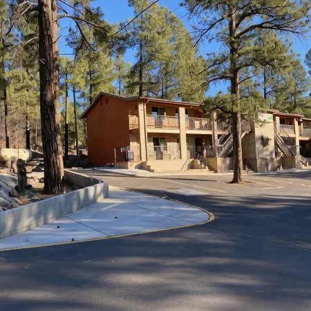 Motel in the Pines