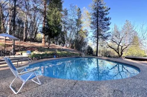 Forest retreat w/ Pool, Game Room, EV charger. Pet friendly! - Boutique