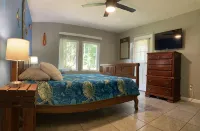 Spacious home in a lush green piece of paradise - Homestays