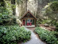 Newly built deluxe cabins, in a private redwood setting near the Smith River - 샬레 호텔
