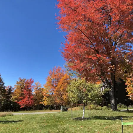 Vermont life at Hill Top Gardens