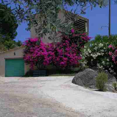 Villa with fantastic sea view and garden, 4 guests Hotel Exterior