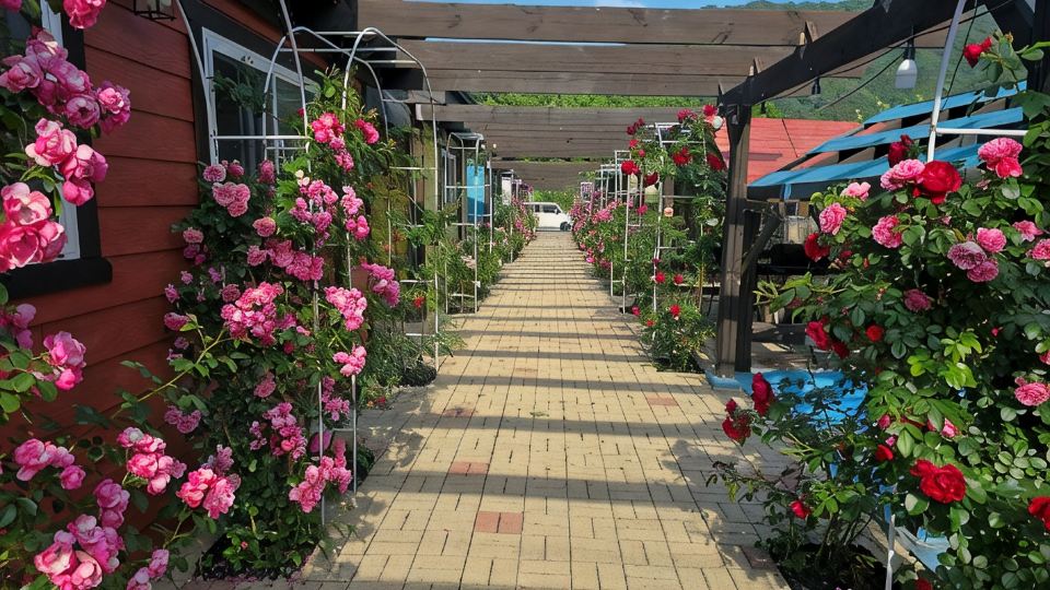Hwacheon Bebe Pension