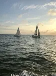 Welcome to Santa Maria 310, a little piece of Paradise!