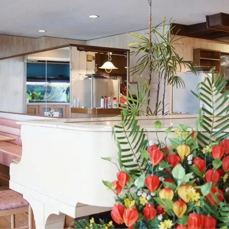 Business Hotel Furusato