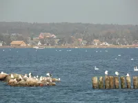 Pension Deichgraf Middelhagen