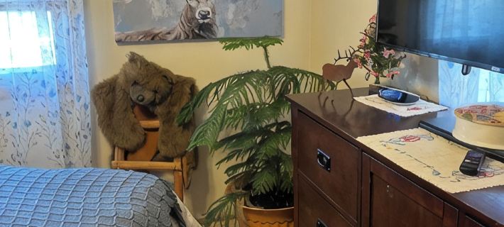 Cozy   Minutes to Weston, World Cup, Other Kansas City Venues. Hotels in Platte County