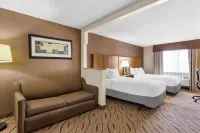 Quality Inn & Suites Airport North - Stone Oak - Gym