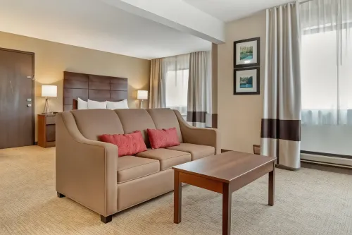 Comfort Inn - Pet friendly