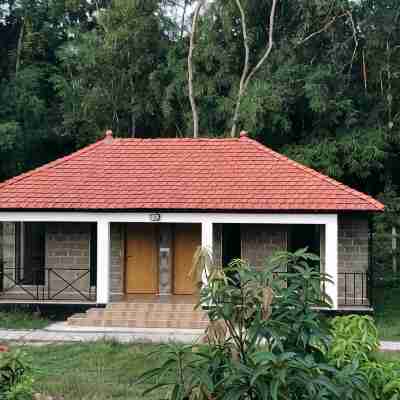 Rain Forest Eco Resort Hotel Exterior