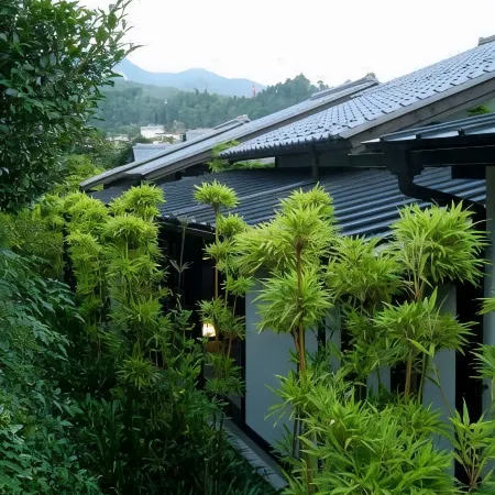 Gero Onsen Hanarenoyado Tsukinoakari