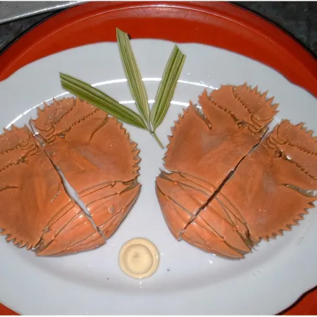 Ibusuki Minshuku Sennarisou