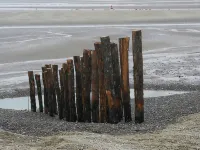 Luxury apartment 100 m from the beach Hotels in Cayeux-sur-Mer