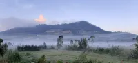 Homestay Castanea Dieng - Bintang 2