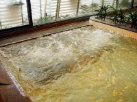 Maple Arima - avec sources thermales