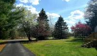 Charlie's Woodside Getaway-4 miles from the Dells! - Hytter