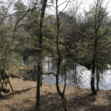 A Cozy Getaway on the Little Missouri River! -River Access