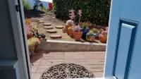 Cozy, modern 1-bedroom guest suite with backyard ocean view! - Homestays