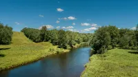 Maple Leaf Charming Log Cabin in the Woods Upgraded with Fiber Optic Internet - Chalets