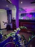 Carol Hotel - بار