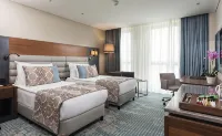Dedeman Cizre Hotel - internet