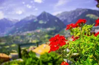 Schenna Garni Eden Bed & Breakfast - Mountain view