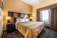 Comfort Inn Ballard-Roosevelt - Wifi