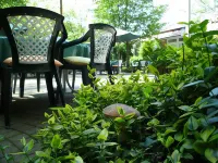 Waldhotel Surwold - Haustierfreundliche