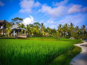 Villa JJ and Spa Ubud