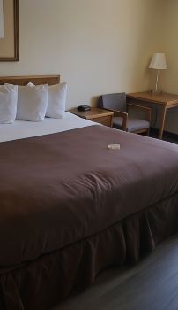 20+ Hotels In Cedaredge Colorado