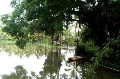 ホテル周辺 セピロック ジャングル リゾートの写真