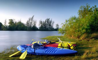 Camp Riveredge Paradise