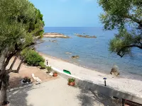 Ciriola