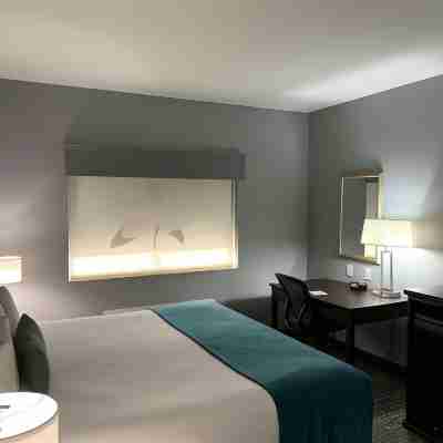 Best Western Plus Olive Branch Hotel  Suites Rooms