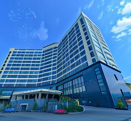 Aristo International Hotel