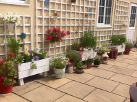 茉莉花之家民宿 拉特沃思住宿飯店