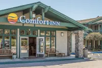 Quality Inn Half Moon Bay-Miramar Beach - parking