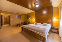 Aplend Wellness Hotel Borovica Hotels near Strbske Pleso Lake