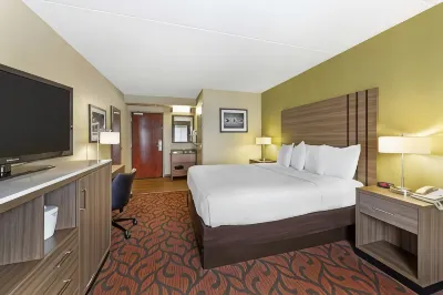 Best Western Rochester Marketplace Inn Hotels near Staples